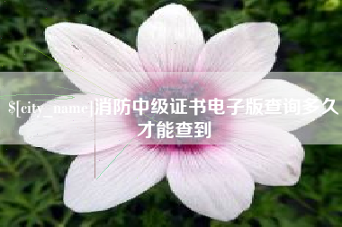 琼中消防中级证书电子版查询多久才能查到