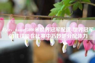 琼中5000米世界冠军配速-世界冠军们往往能在比赛中巧妙地分配体力