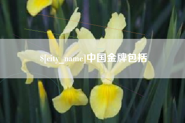 琼中中国金牌包括