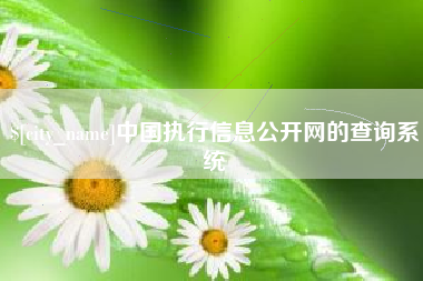 琼中中国执行信息公开网的查询系统