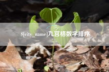 琼中九宫格数字排序