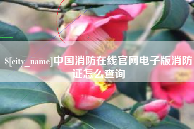 琼中中国消防在线官网电子版消防证怎么查询