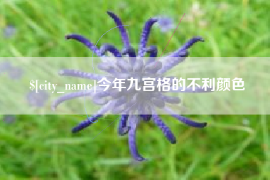 琼中今年九宫格的不利颜色
