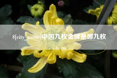 琼中中国九枚金牌是哪九枚