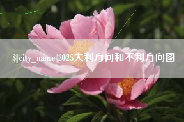 琼中2025大利方向和不利方向图