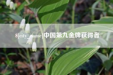 琼中中国第九金牌获得者