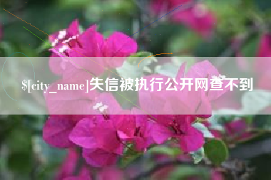 琼中失信被执行公开网查不到