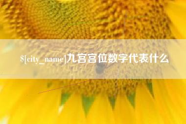 琼中九宫宫位数字代表什么