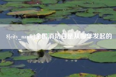 琼中全国消防日是从哪年发起的