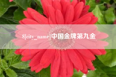 琼中中国金牌第九金