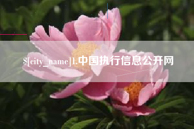 琼中1.中国执行信息公开网