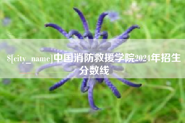 琼中中国消防救援学院2024年招生分数线