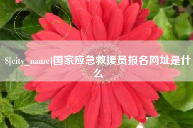 琼中国家应急救援员报名网址是什么