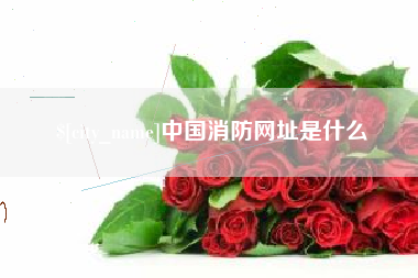 琼中中国消防网址是什么