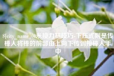 琼中60米接力赛技巧-下压式则是传棒人将棒的前部由上向下传到接棒人手中