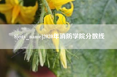 琼中2020年消防学院分数线