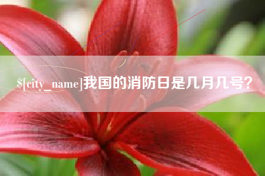 琼中我国的消防日是几月几号？