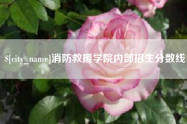 琼中消防救援学院内部招生分数线
