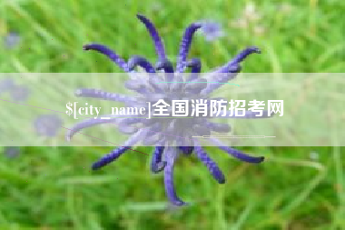 琼中全国消防招考网