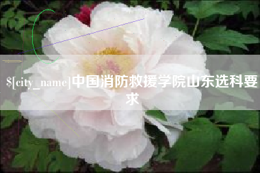 琼中中国消防救援学院山东选科要求