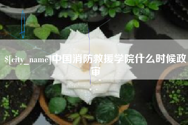 琼中中国消防救援学院什么时候政审