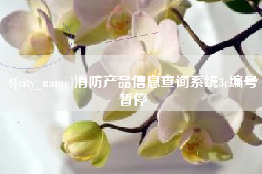 琼中消防产品信息查询系统3c编号暂停