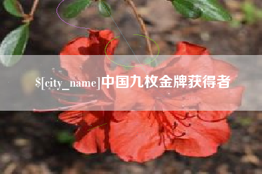 琼中中国九枚金牌获得者