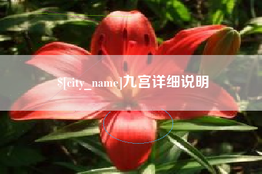 琼中九宫详细说明