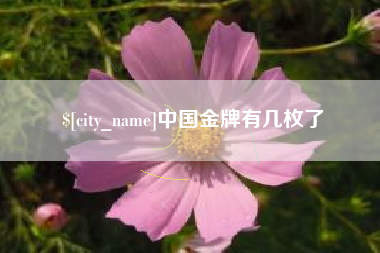 琼中中国金牌有几枚了