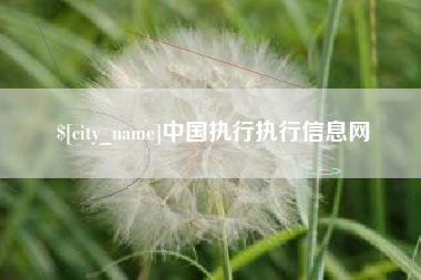 琼中中国执行执行信息网