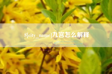 琼中九宫怎么解释