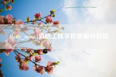 琼中消防工程学校录取分数线