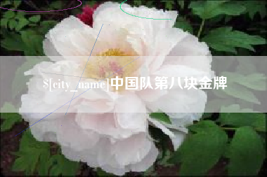 琼中中国队第八块金牌