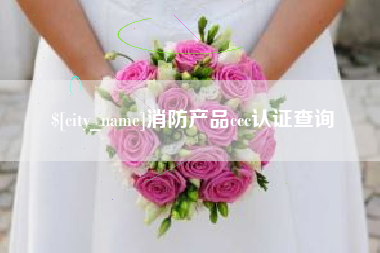 琼中消防产品ccc认证查询
