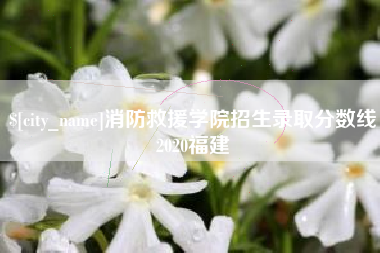 琼中消防救援学院招生录取分数线2020福建