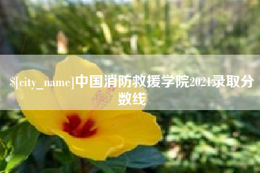 琼中中国消防救援学院2021录取分数线