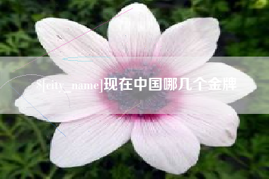 琼中现在中国哪几个金牌