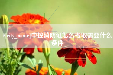 琼中中控消防证怎么考取需要什么条件