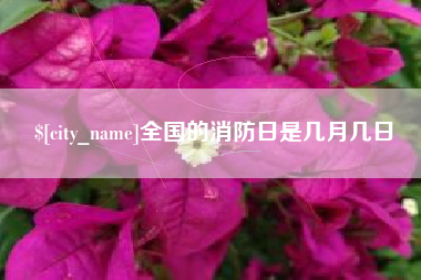 琼中全国的消防日是几月几日
