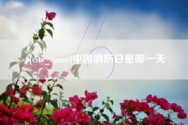 琼中中国消防日是哪一天