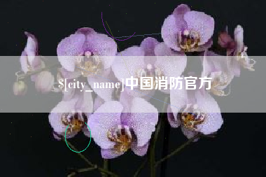 琼中中国消防官方