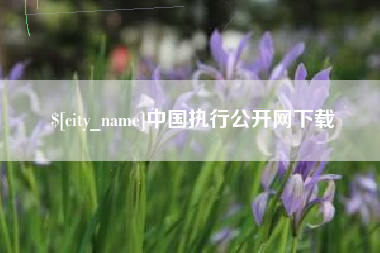 琼中中国执行公开网下载