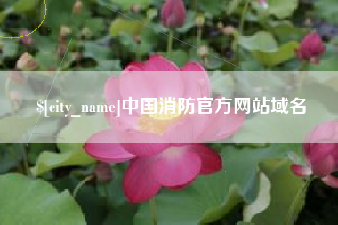 琼中中国消防官方网站域名