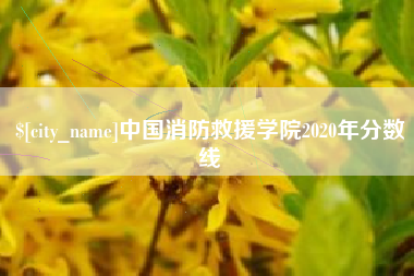 琼中中国消防救援学院2020年分数线