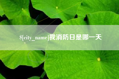 琼中我消防日是哪一天