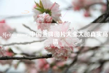 琼中中国金牌图片大全大图真实高清