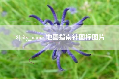 琼中地图指南针图标图片