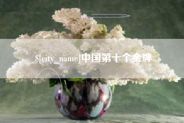 琼中中国第十个金牌