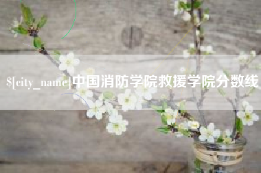 琼中中国消防学院救援学院分数线