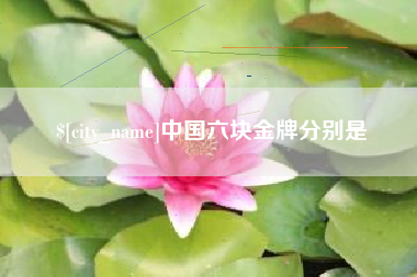 琼中中国六块金牌分别是